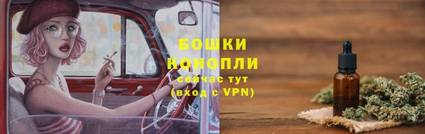 гашик Аркадак