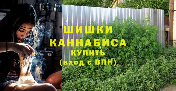 гашик Аркадак